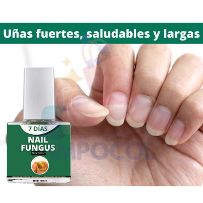 😱TRATAMIENTO ENDURECEDOR DE CRECIMIENTO🛡ANTIHOGOS PARA UÑAS⭐⭐⭐⭐⭐
